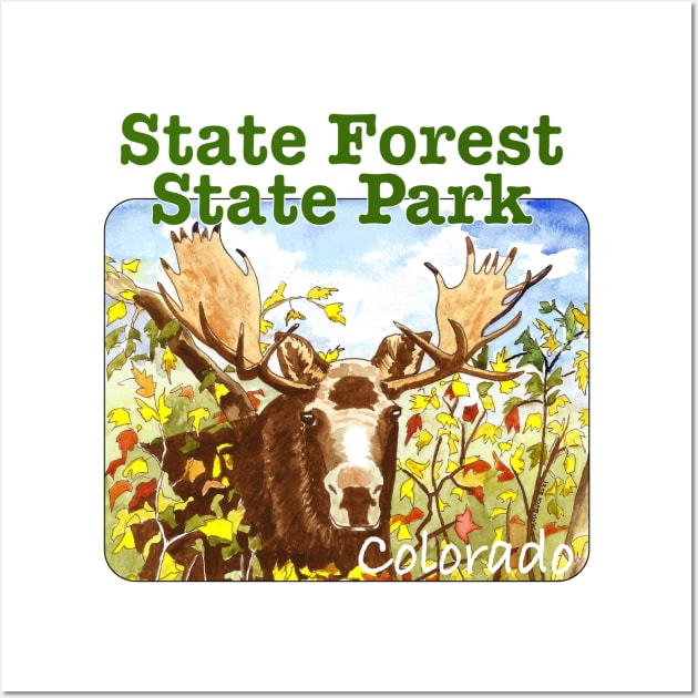 State Forest State Park, Colorado Wall Art by MMcBuck